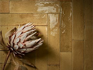 Ragno - Look Ocra 2x Glossy